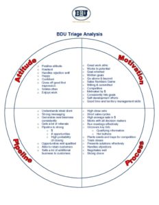 thumbnail of BDU –  Sales Triage Analysis Visual PDF
